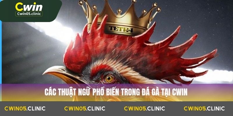 thuật ngữ đá gà
