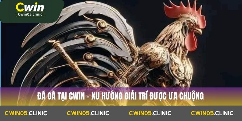 Đá gà tại Cwin – xu hướng giải trí được ưa chuộng