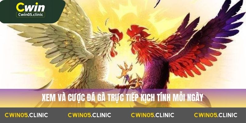 đá gà trực tiếp