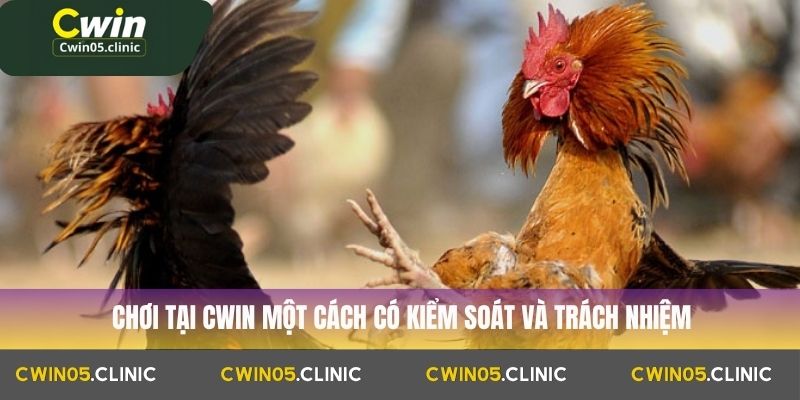  Chơi tại Cwin một cách có kiểm soát và trách nhiệm